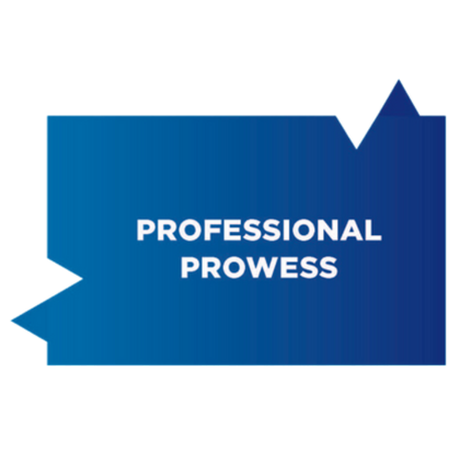 Professional Prowess_Blue_Propel Enterprises_ Fourfold Cornerstone_Quadrant Image_430 x 415_V2